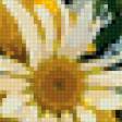 Предпросмотр схемы вышивки «натюрморт» (№142342)
