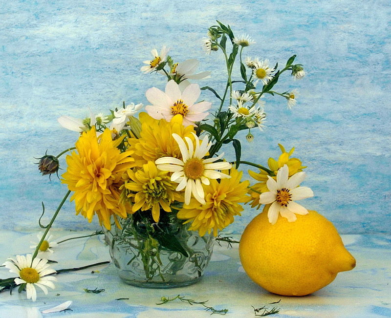 натюрморт - ромашки, натюрморт, лимон, цветы - оригинал