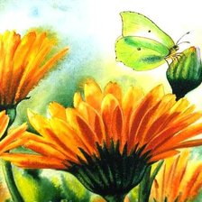 Оригинал схемы вышивки «бабочка на цветах» (№142553)