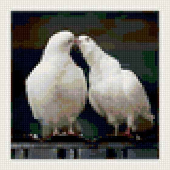 голуби - предпросмотр