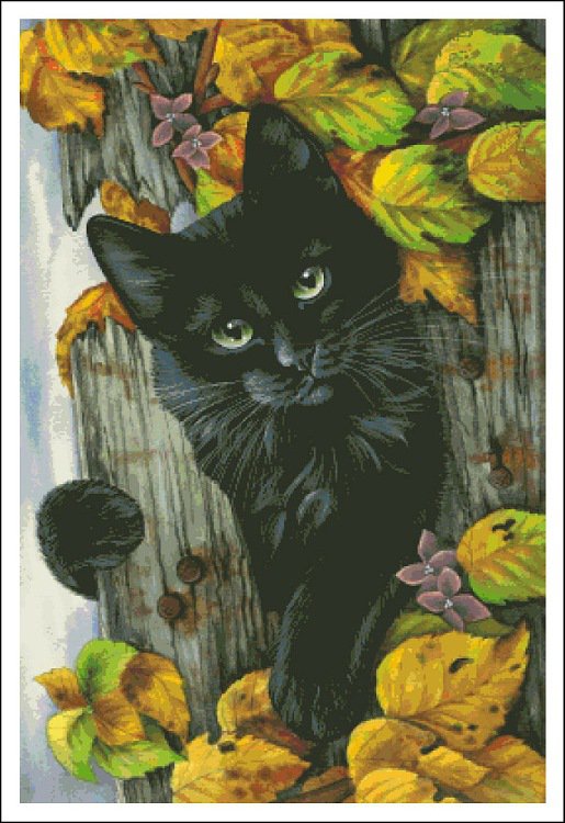 черный кот осень - черный кот осень - оригинал