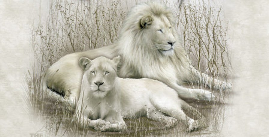 №142694 - оригинал