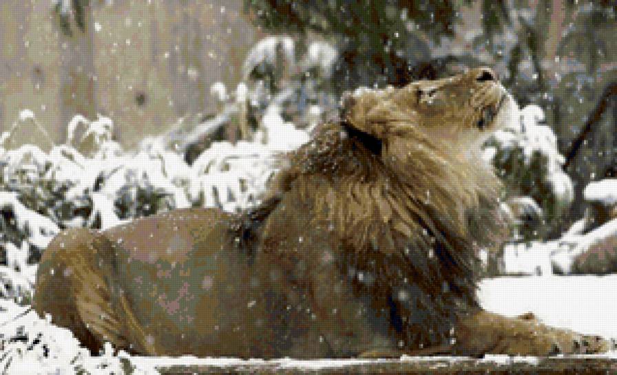 №142699 - предпросмотр