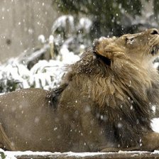 Схема вышивки «№142699»