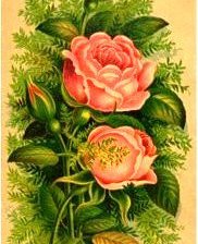 Оригинал схемы вышивки «№142751»