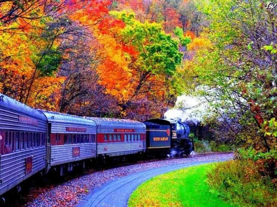 Поезд в лесу - лес, транспорт, поезд - оригинал