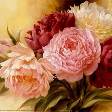 Схема вышивки «пионы»