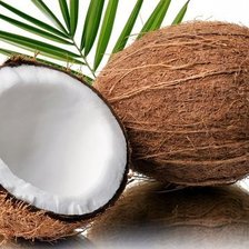 Схема вышивки «Кокос»