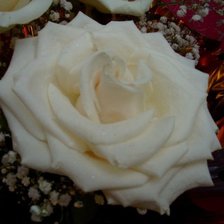 Схема вышивки «№142812»