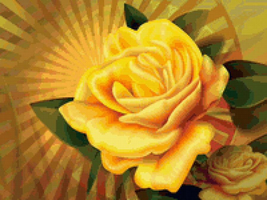 Жолтая роза - цветы, роза - предпросмотр
