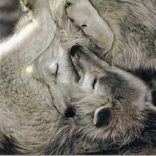 Схема вышивки «пара»