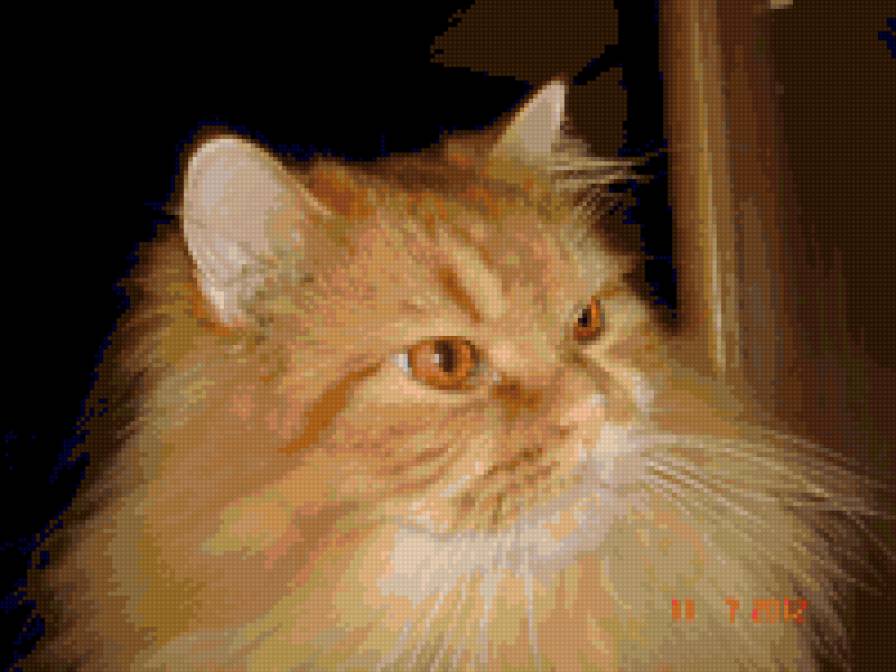 шерік - предпросмотр