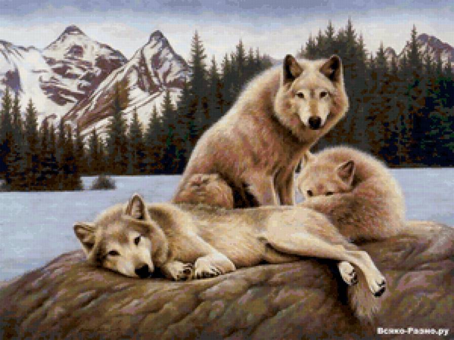 * * * - предпросмотр