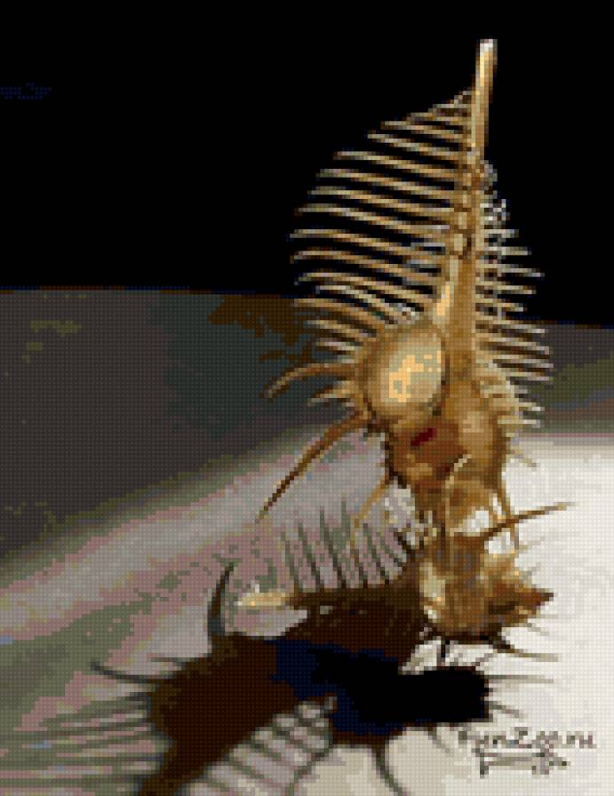 Ракушка - море - предпросмотр