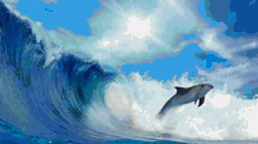 Дельфин в море - море, дельфин, волны - предпросмотр