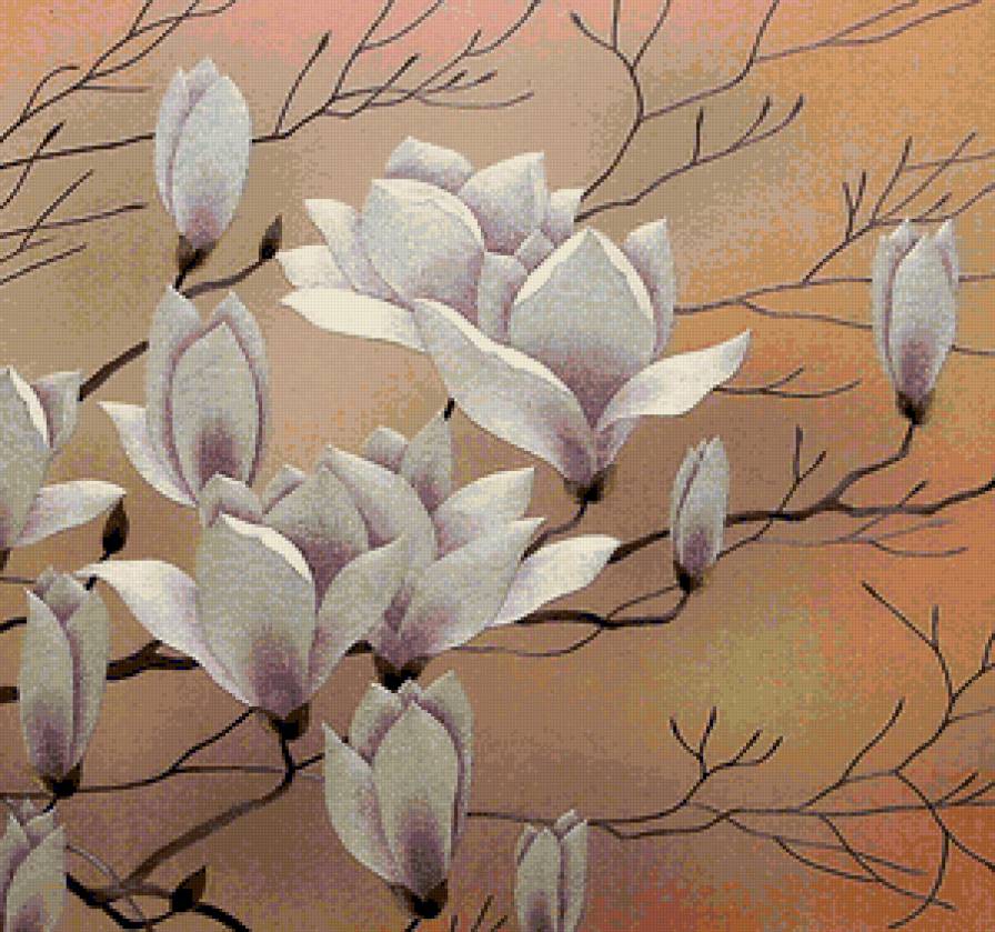 Магнолия - цветы - предпросмотр