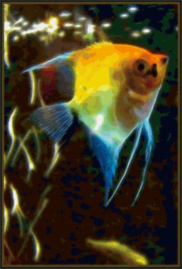 волшебная рыбка - рыбка, аквариум, скалярия - предпросмотр