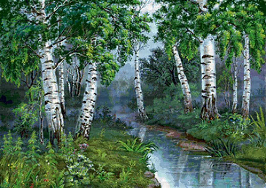 березки - пейзаж, природа - предпросмотр