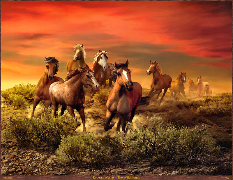 табун - животные - оригинал