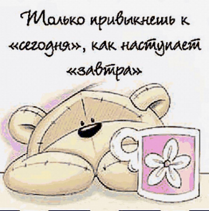 Мишка - медведи - предпросмотр