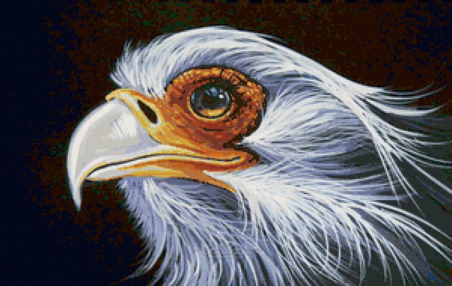 №143808 - предпросмотр