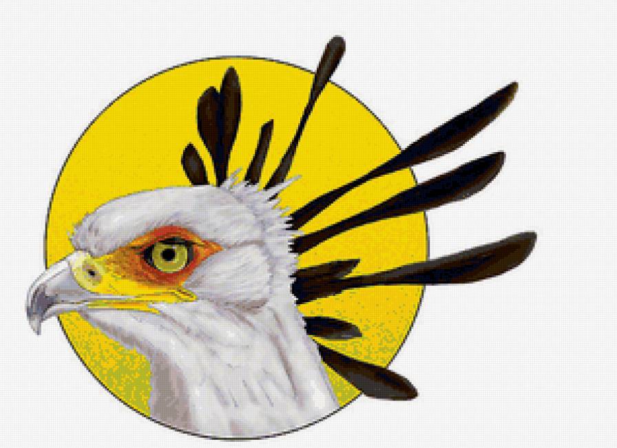 №143809 - предпросмотр