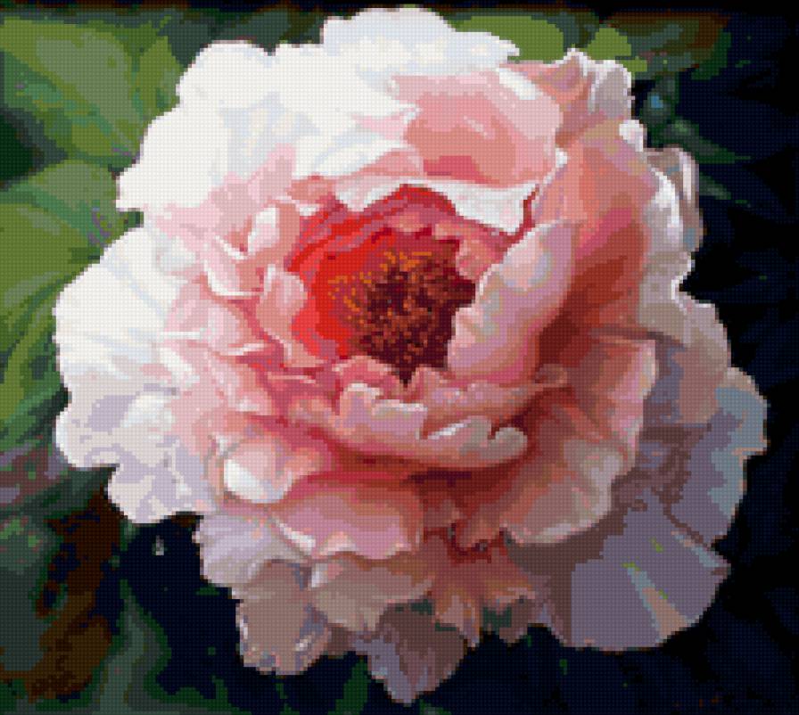 flower - предпросмотр