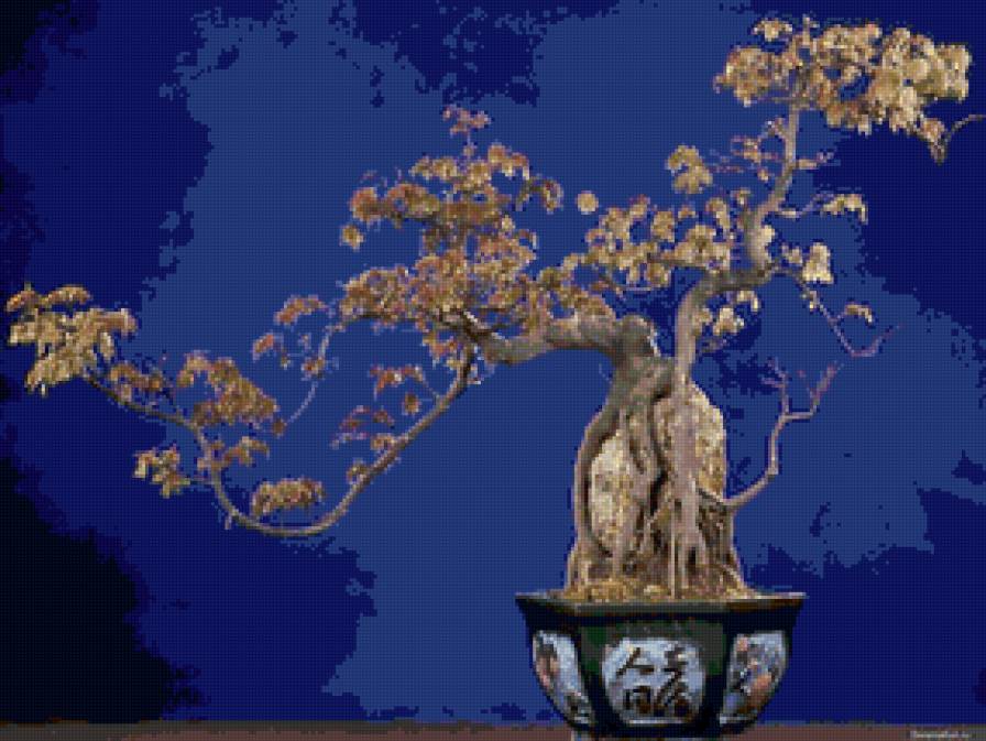 миниландшафт - предпросмотр