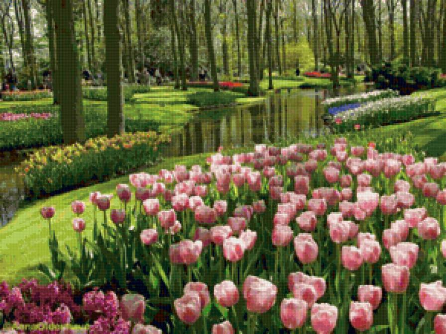 Пейзаж с тюльпанами - цветы, тюльпаны, пейзаж, природа, тюльпан - предпросмотр