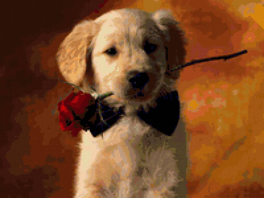 Щенок с цветком - собачка, щенок, цветок - предпросмотр