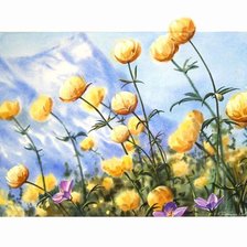 Схема вышивки «полевые цветы»