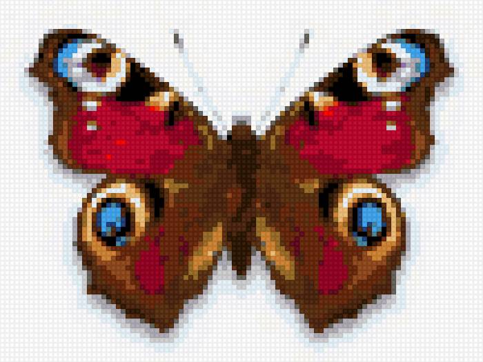 бабочка - бабочка - предпросмотр