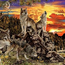 Схема вышивки «волки»