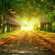 Схема вышивки «Парк»