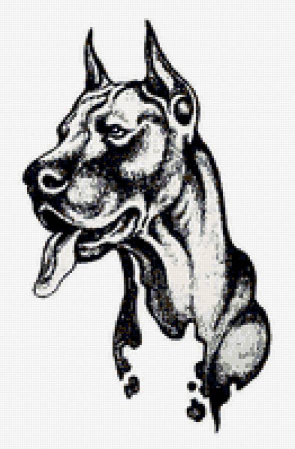 дог - дог, морда, собака - предпросмотр