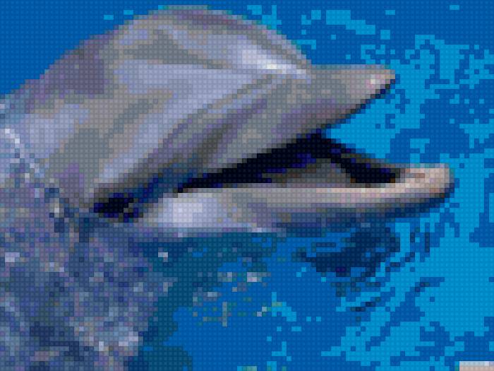 дельфин - предпросмотр