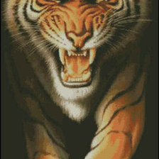 Схема вышивки «тирг»