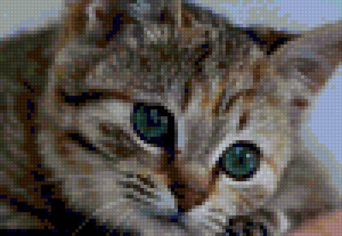 грустный кот - котя - предпросмотр