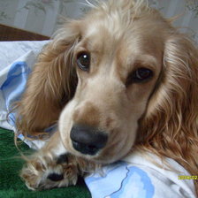 Схема вышивки «Гретта»