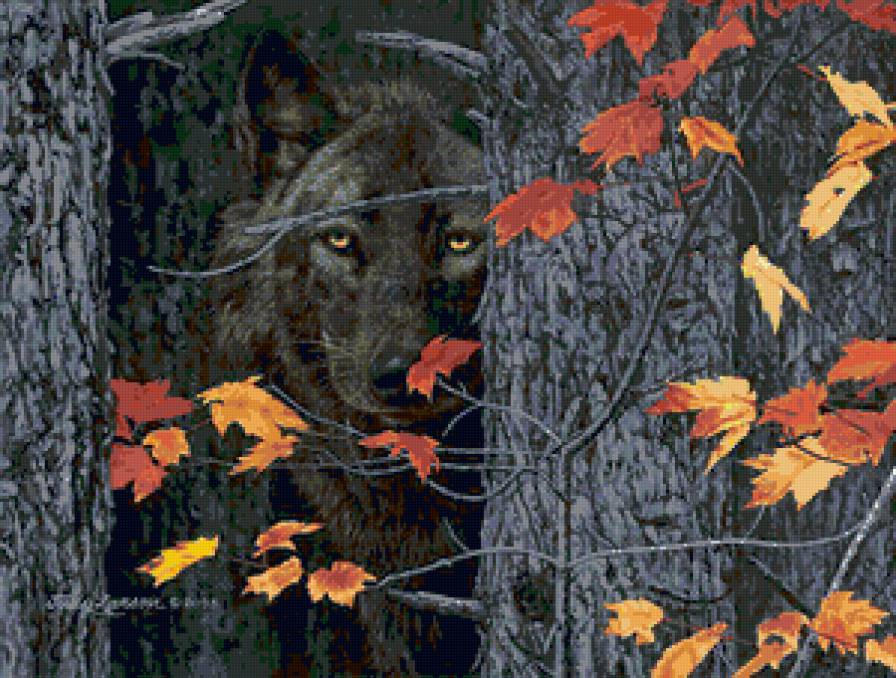 №145304 - осень, лес, волк, листва - предпросмотр