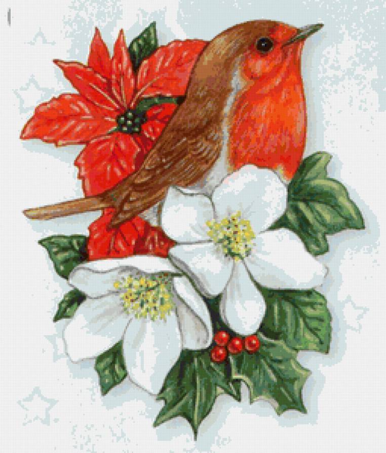 Птичка на Рождество - птицы, праздник, цветы, птичка, рождество, новый год - предпросмотр