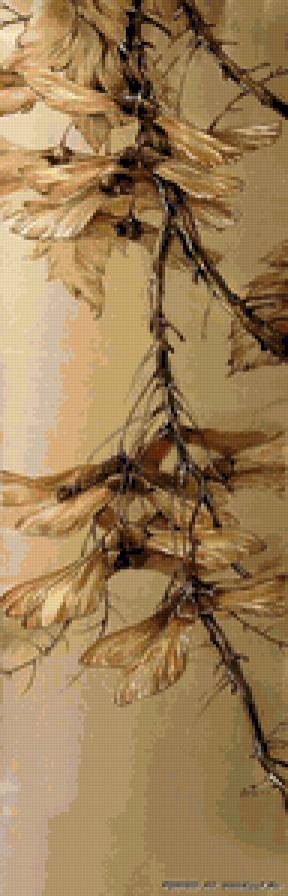 Ветвь клена - ветка, клен - предпросмотр