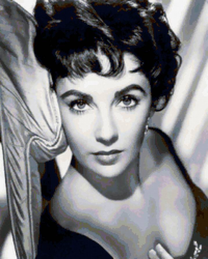 Элизабет Тейлор - красота, женщина, актриса, черно-белая картина - предпросмотр