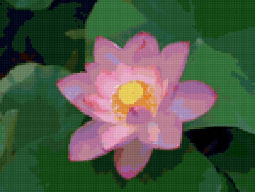 №145448 - предпросмотр