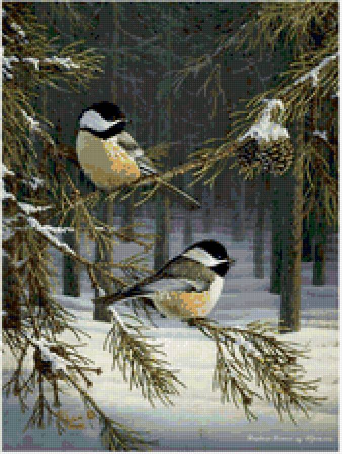 №145479 - предпросмотр