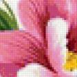 Предпросмотр схемы вышивки «Цветы» (№145640)