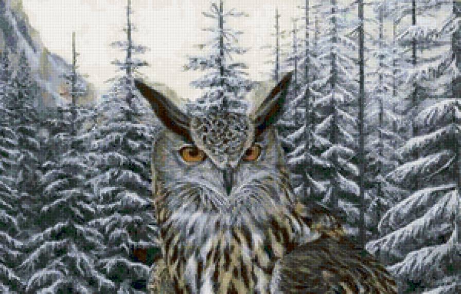 №145736 - предпросмотр