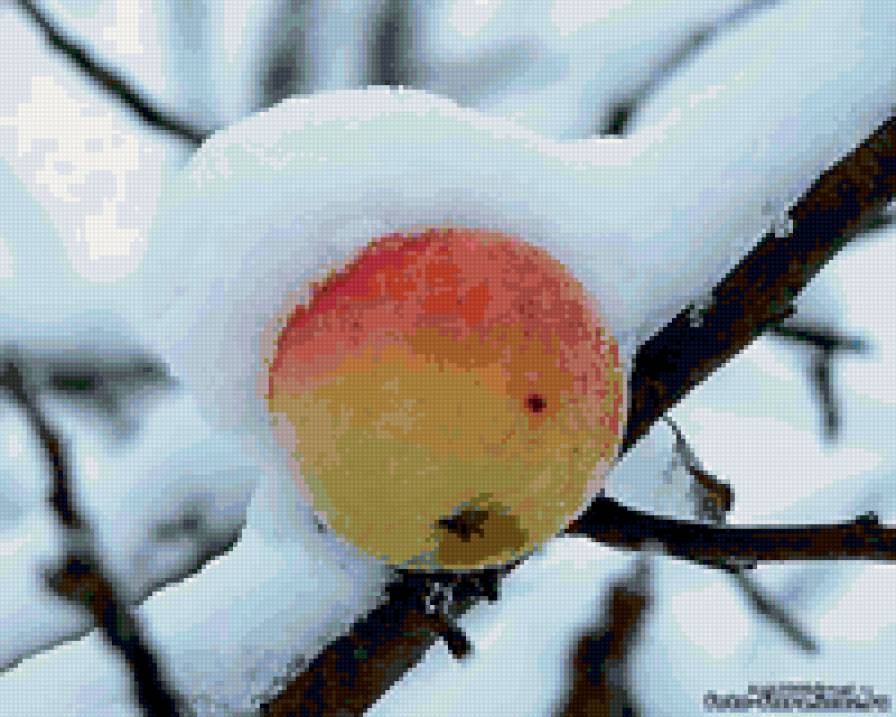 яблочко в снегу - предпросмотр