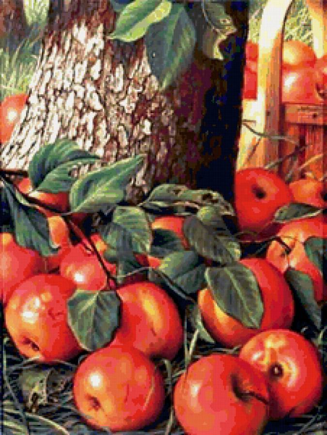 №145865 - предпросмотр