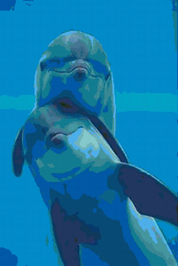 дельфинчики - предпросмотр